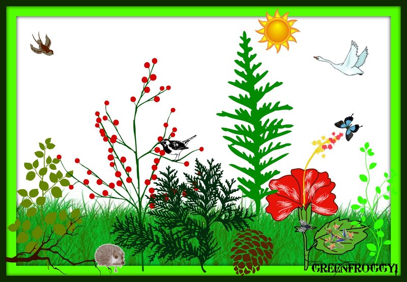 Garden with Animals and Plants