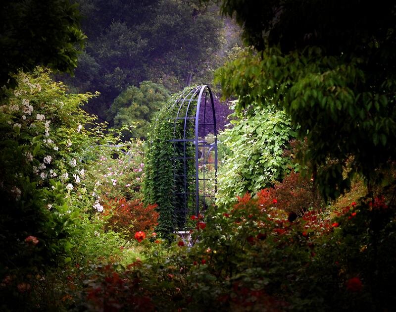 Garden with Arbor — Green, Serene
