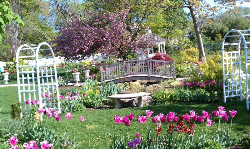Garden with Arched Trellises