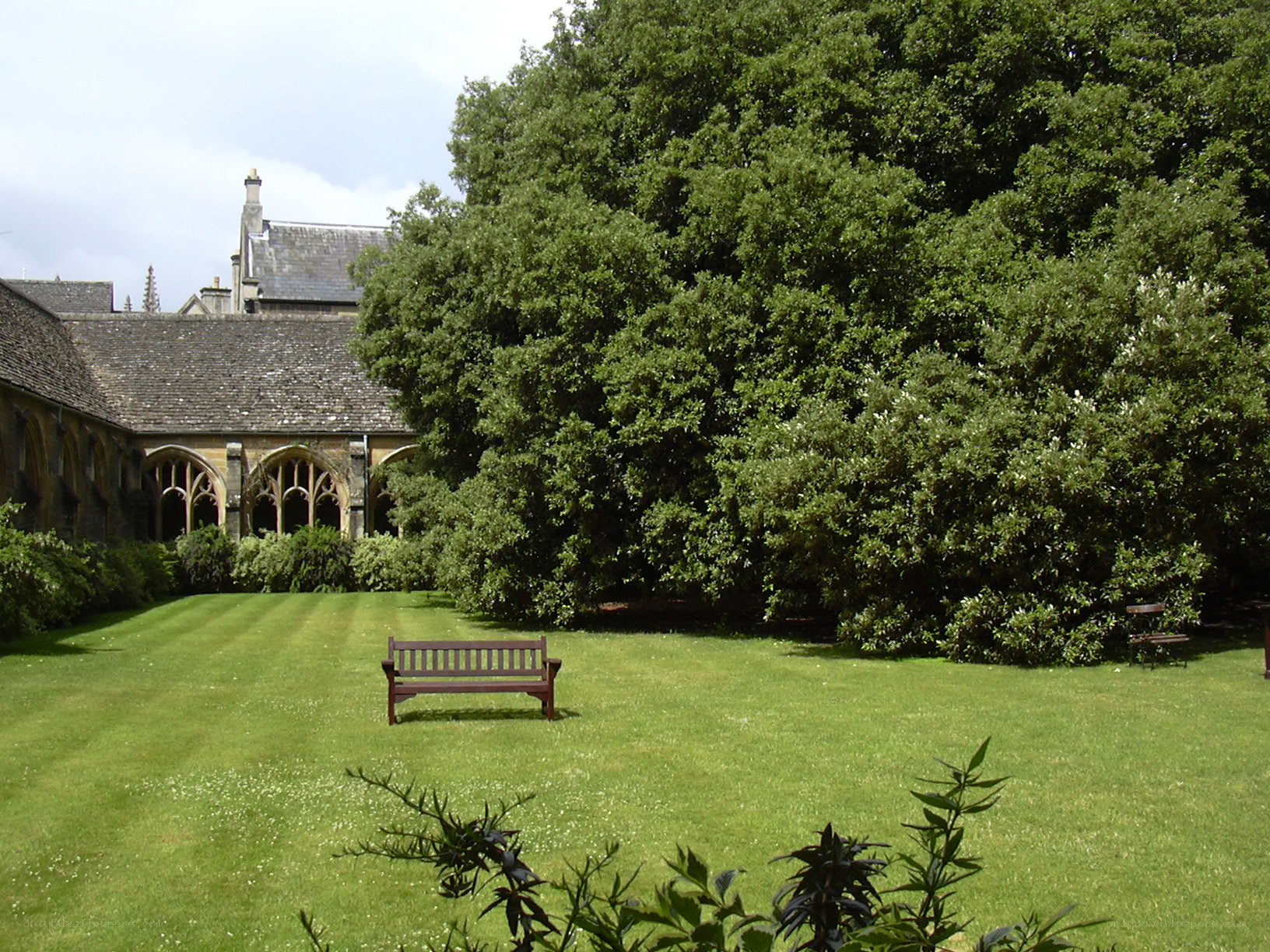 Garden with bench and historic building
