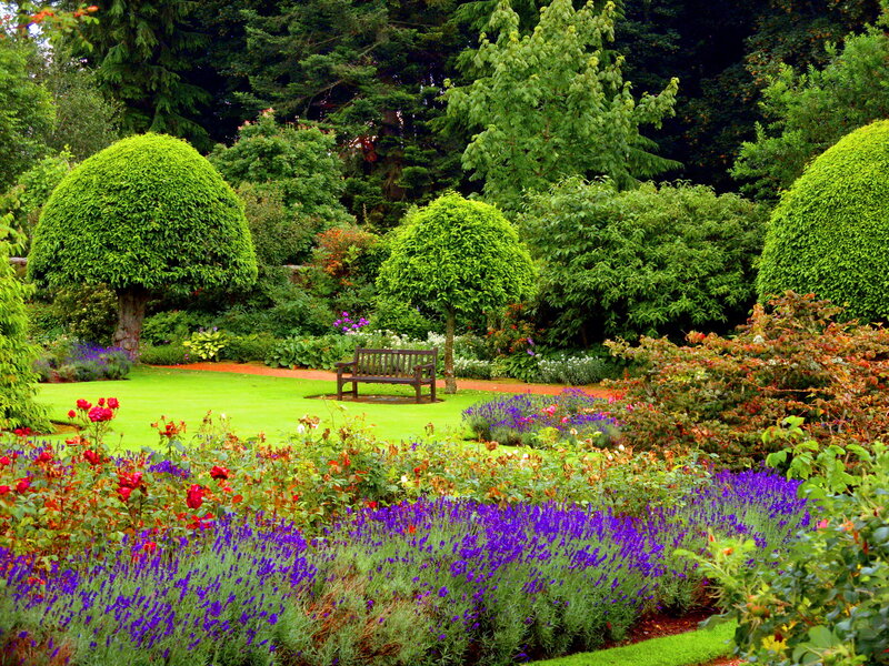 Garden with Bench — Green