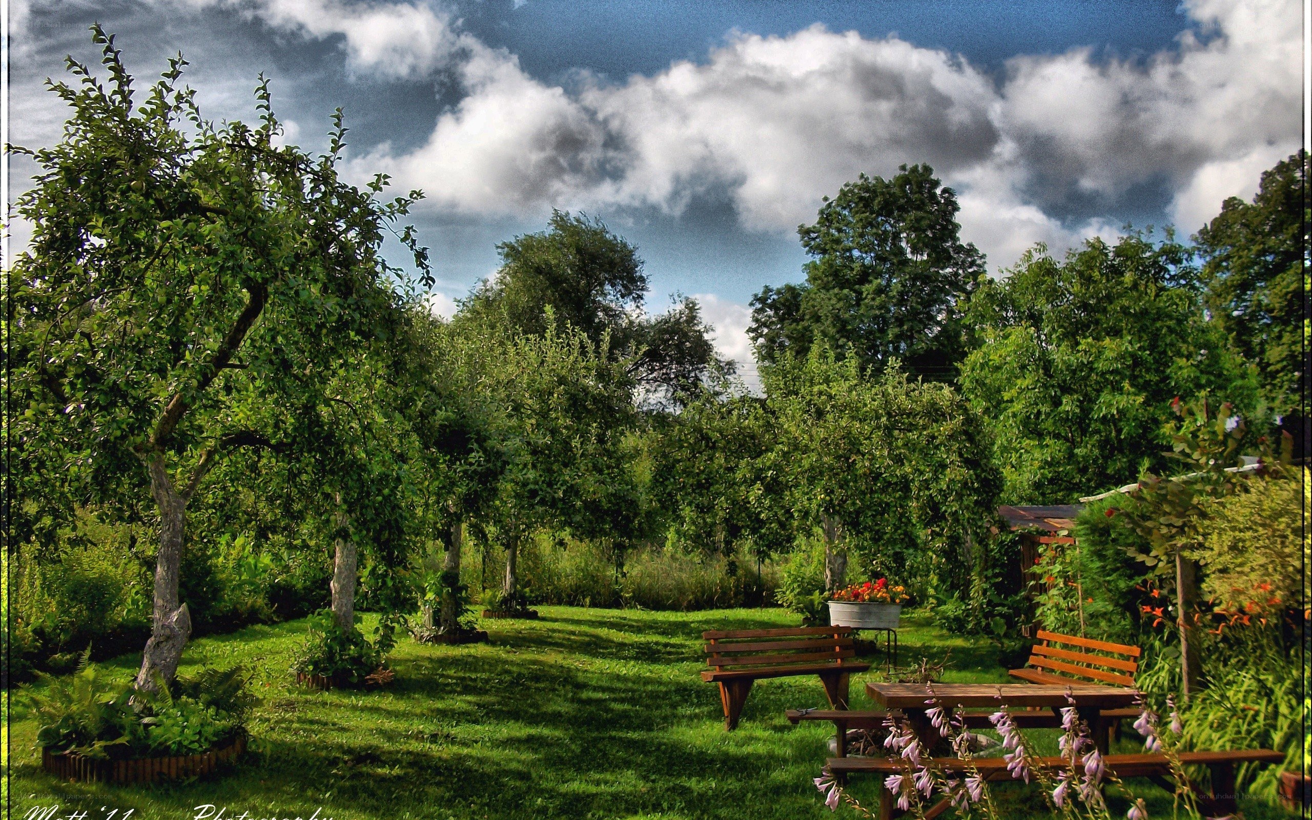 Garden with benches and trees