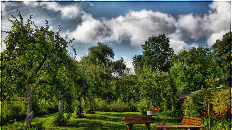 Garden with Benches