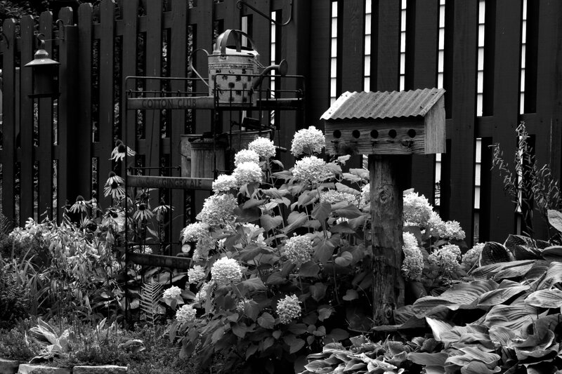 Garden with Birdhouse — Black
