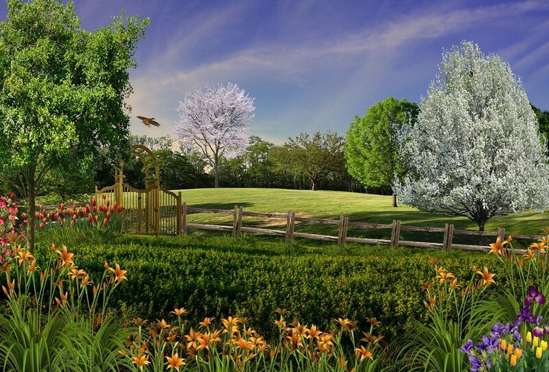 Garden with Blooming Flowers — Green, Serene, Spring