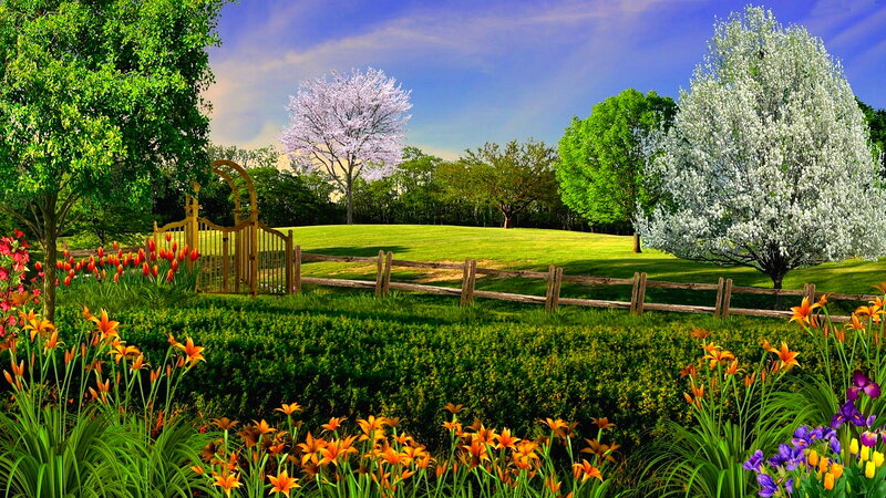 Garden with Blooming Flowers — Green, Serene