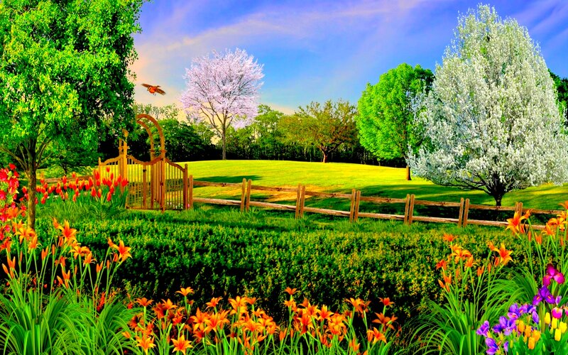 Garden with Blooming Flowers — Green