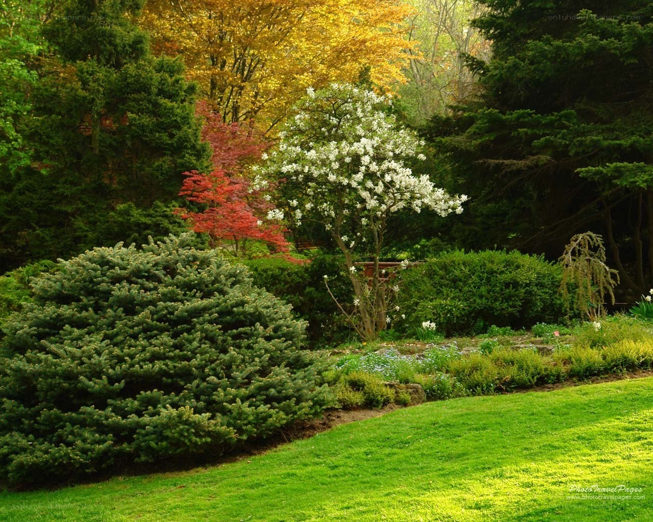 Garden with blooming trees