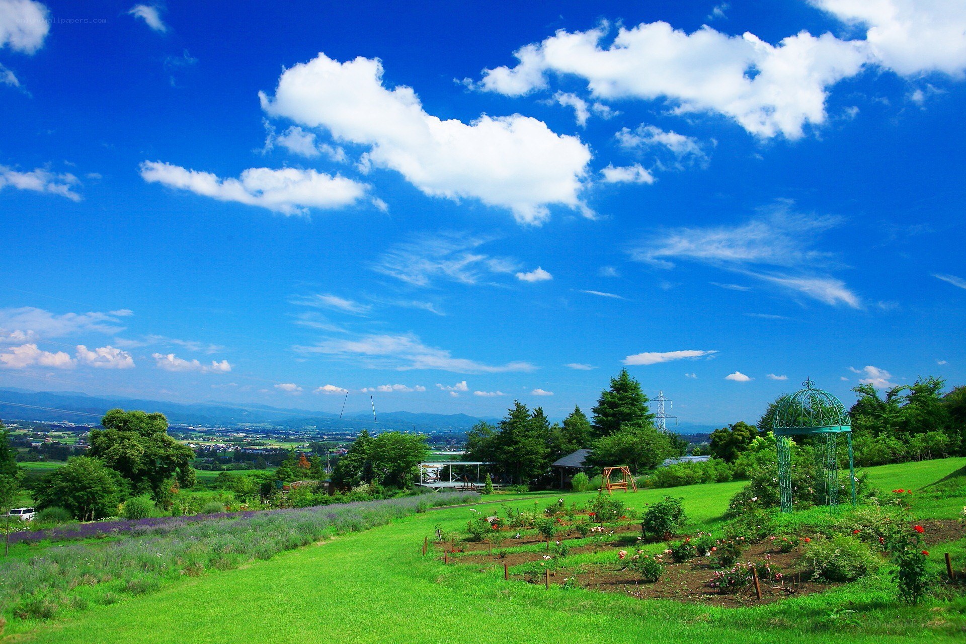 Garden with blue sky and clouds