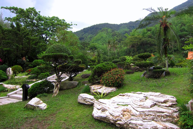 Garden with Bonsai Trees