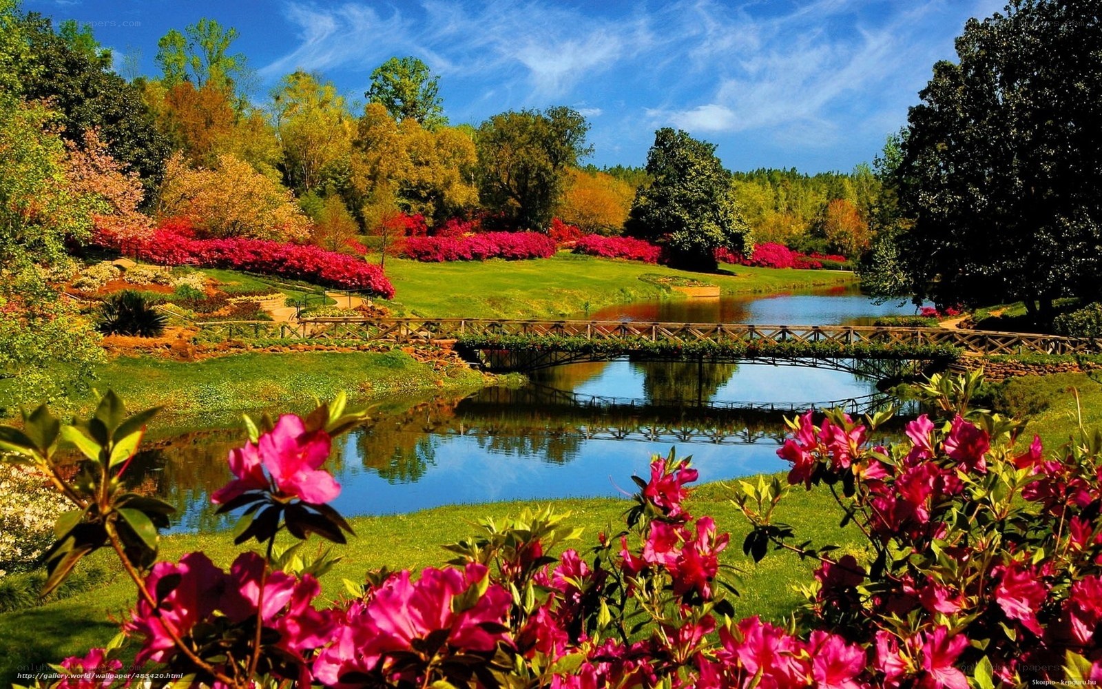 Garden with bridge and flowers
