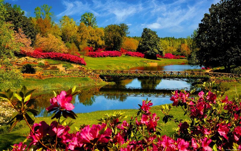 Garden with bridge and flowers