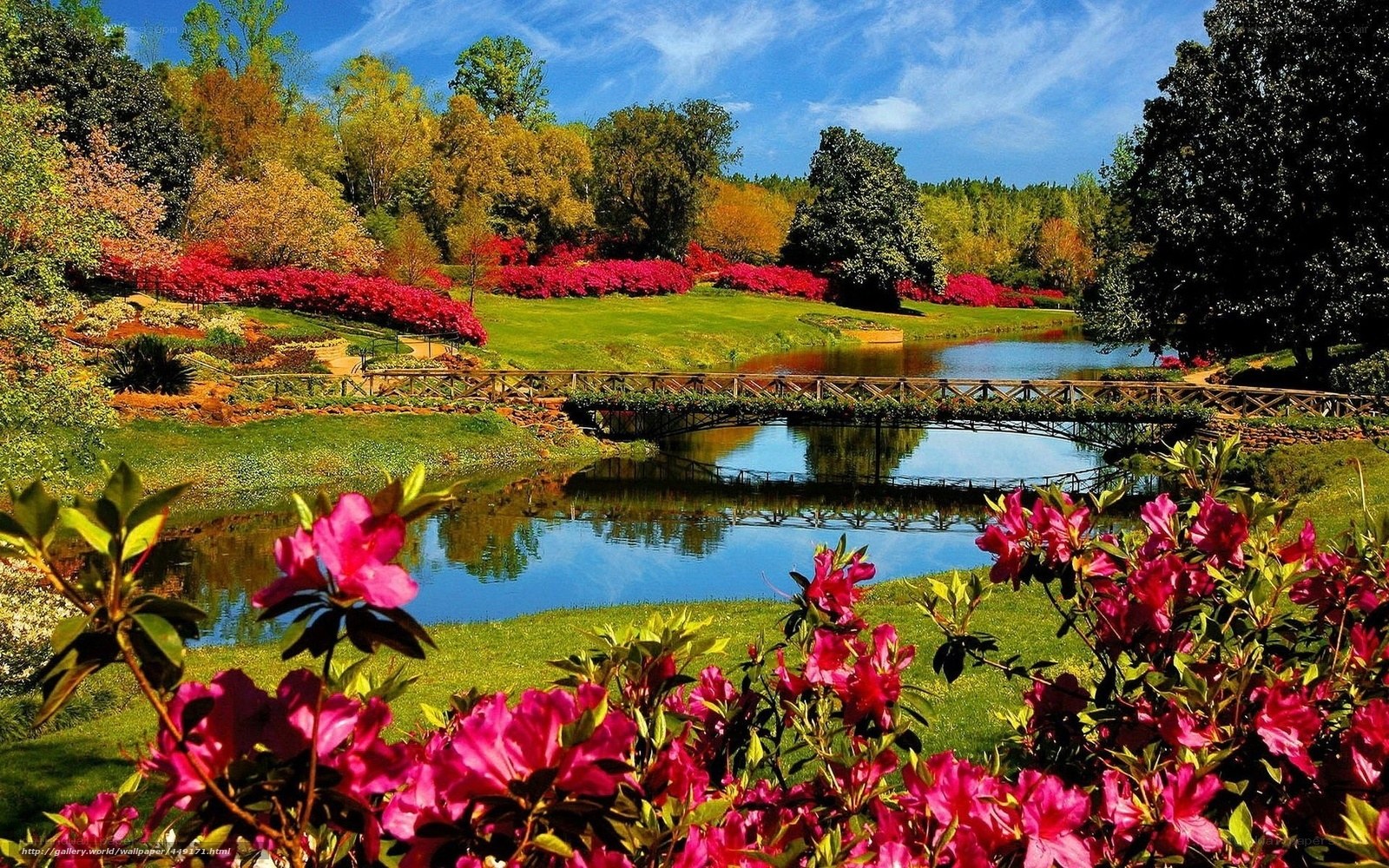 Garden with bridge and flowers