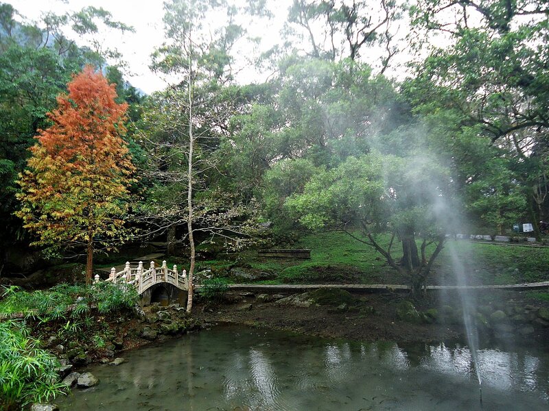 Garden with bridge and fountain