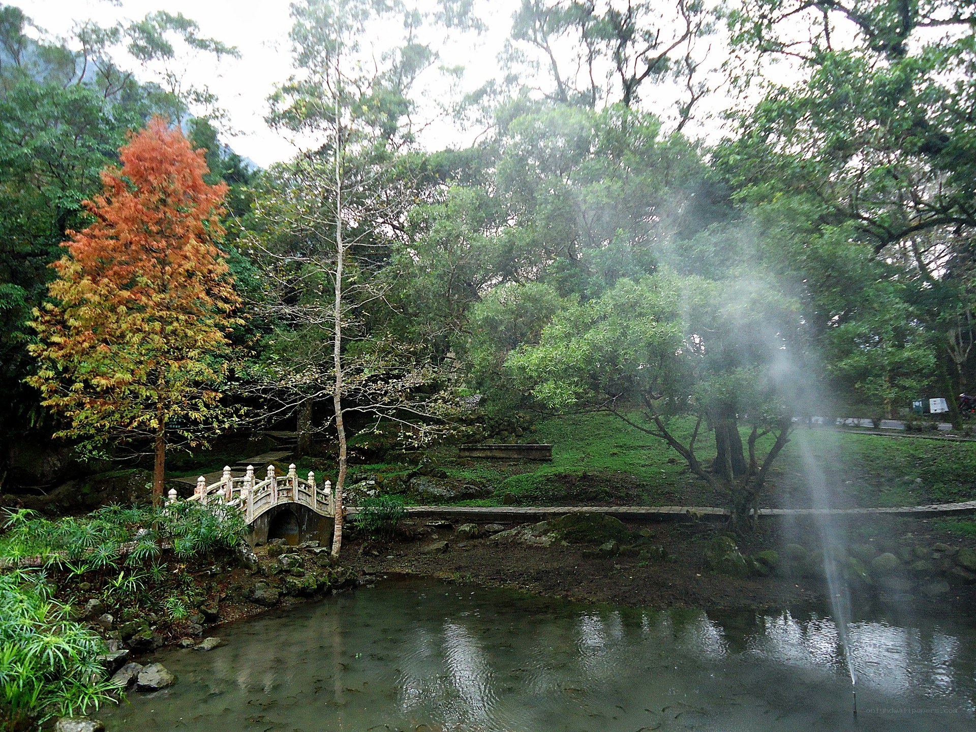 Garden with bridge and fountain