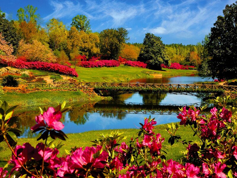 Garden with Bridge and Pond — Green