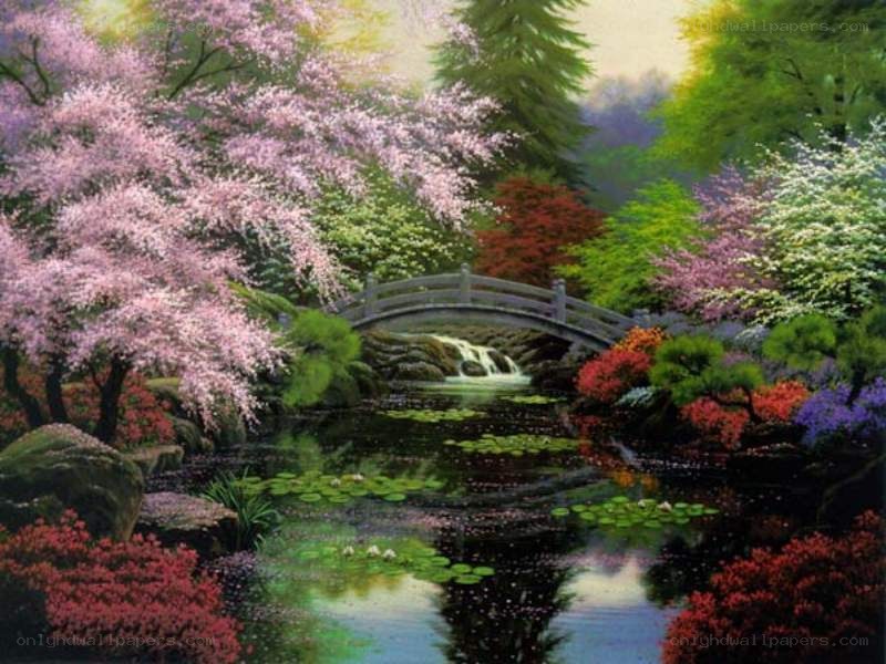 Garden with bridge and waterfall