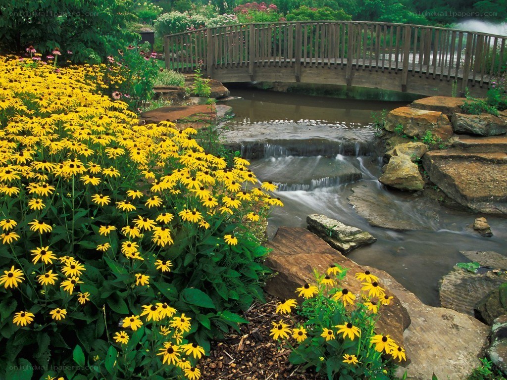 Garden with bridge and waterfall