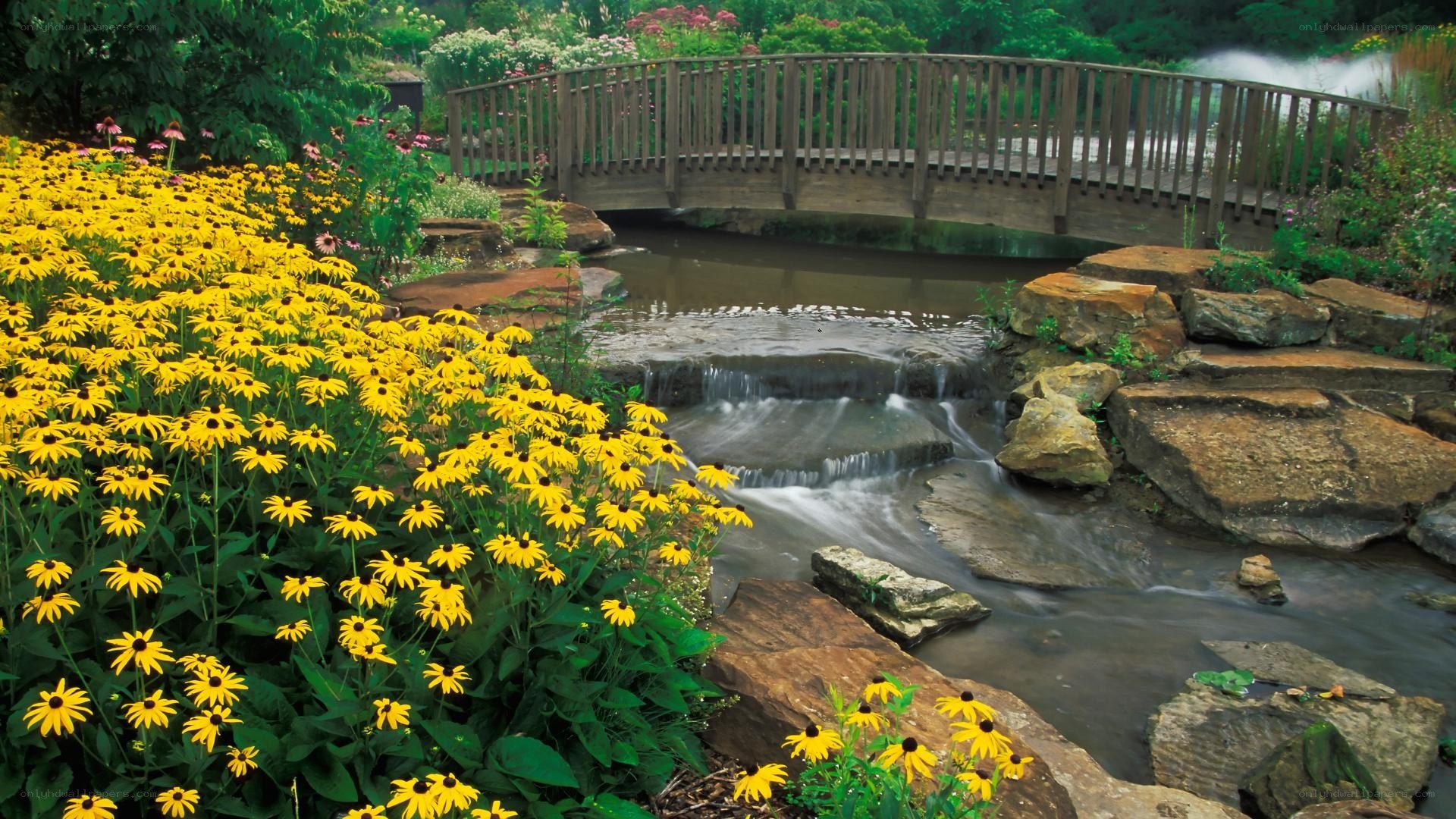 Garden with bridge and waterfall