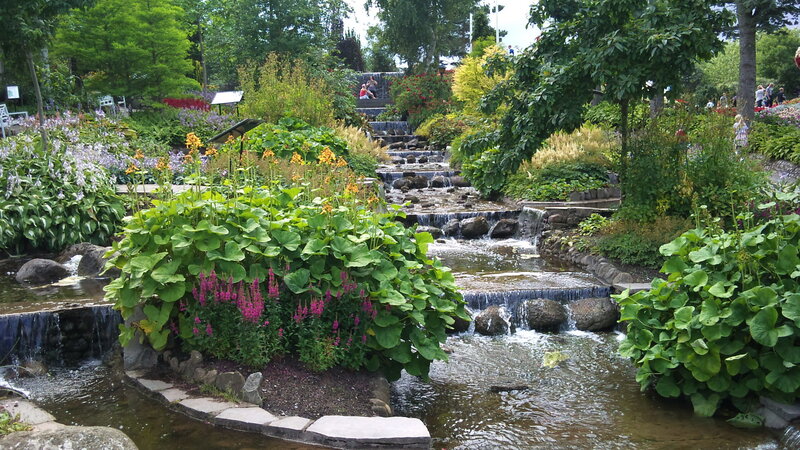 Garden with cascading water feature