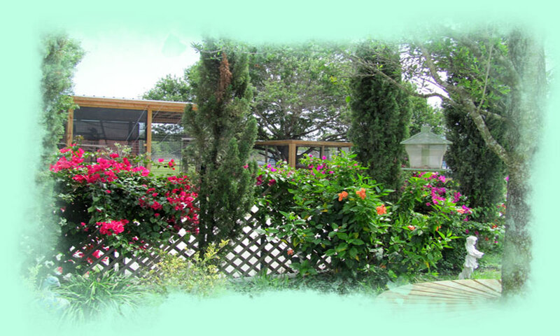 Garden with Chicken Coop