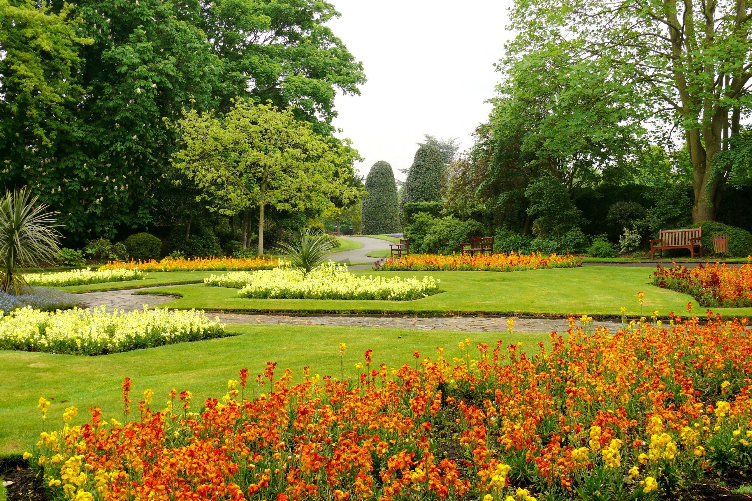 Garden with colorful flowers