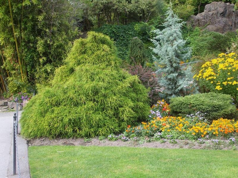 Garden with colorful flowers and trees