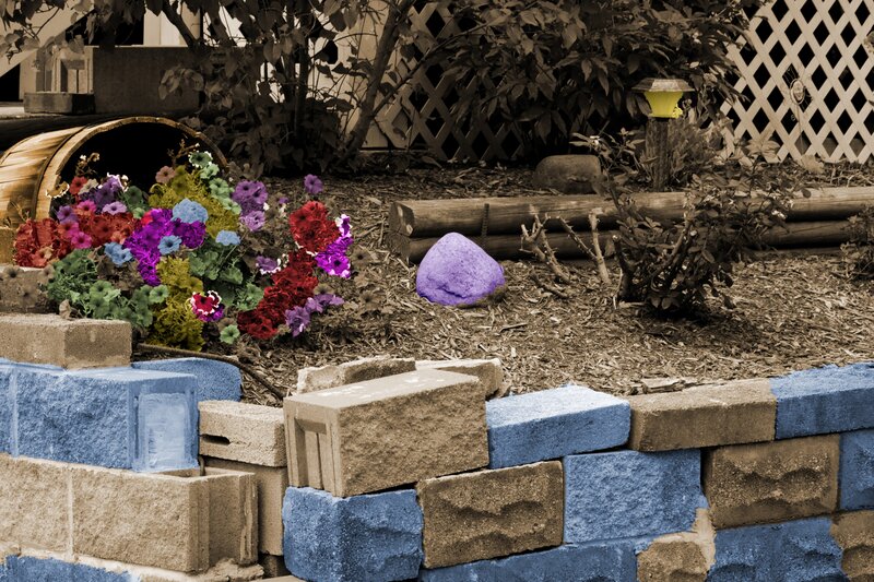 Garden with Colorful Flowers — Blue