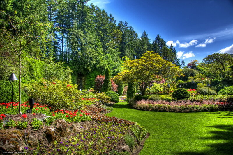 Garden with Colorful Flowers — Green