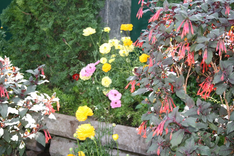 Garden with Colorful Flowers — Yellow