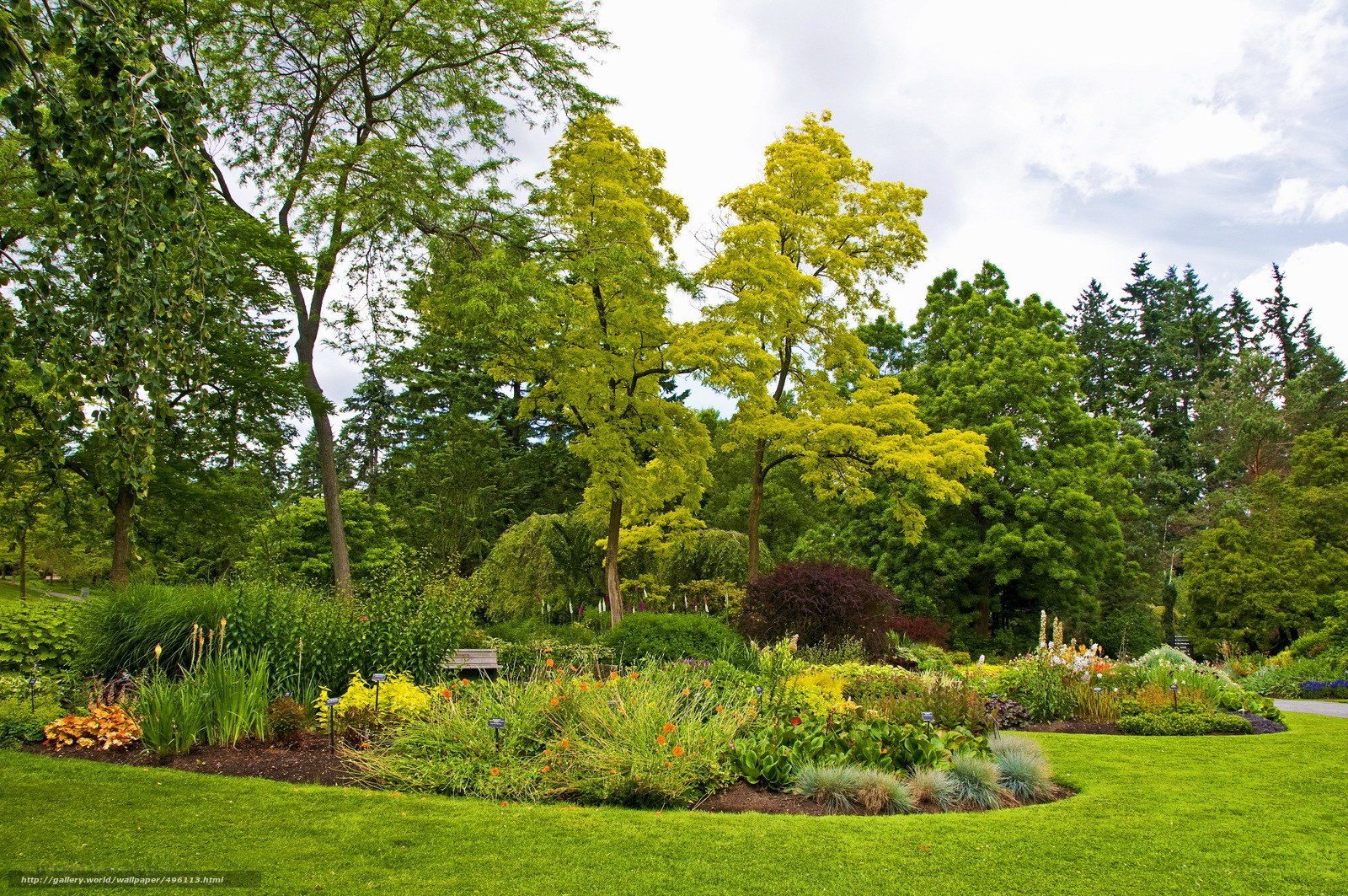 Garden with colorful flowers