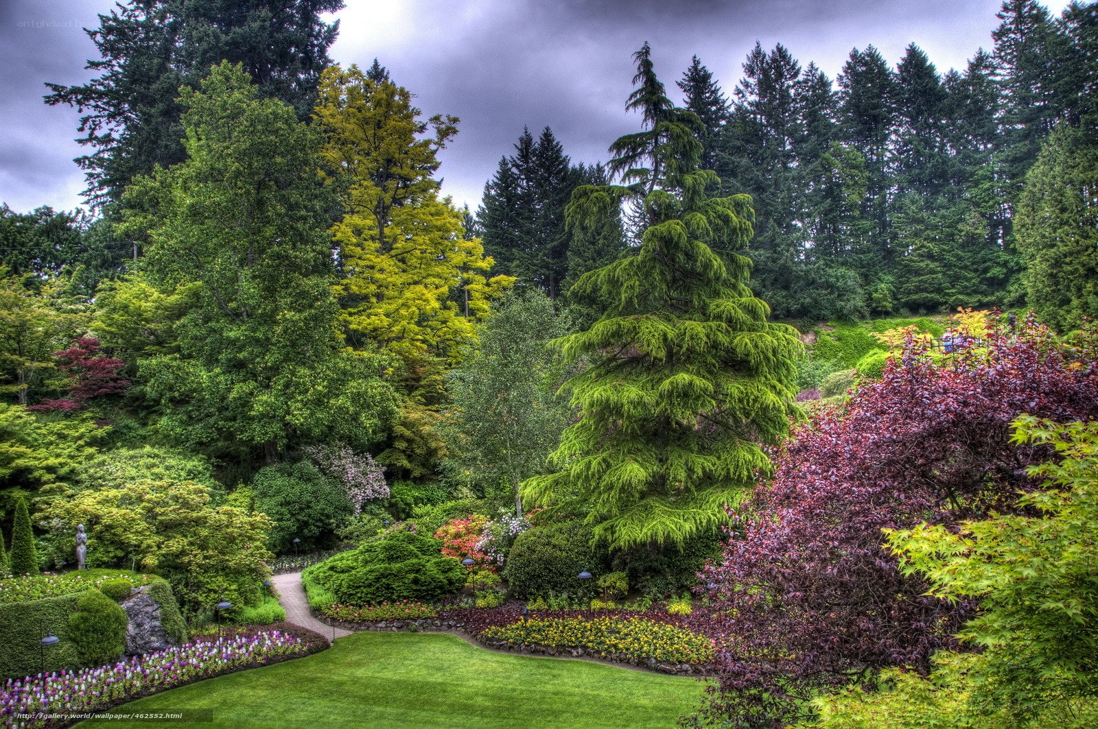 Garden with colorful foliage
