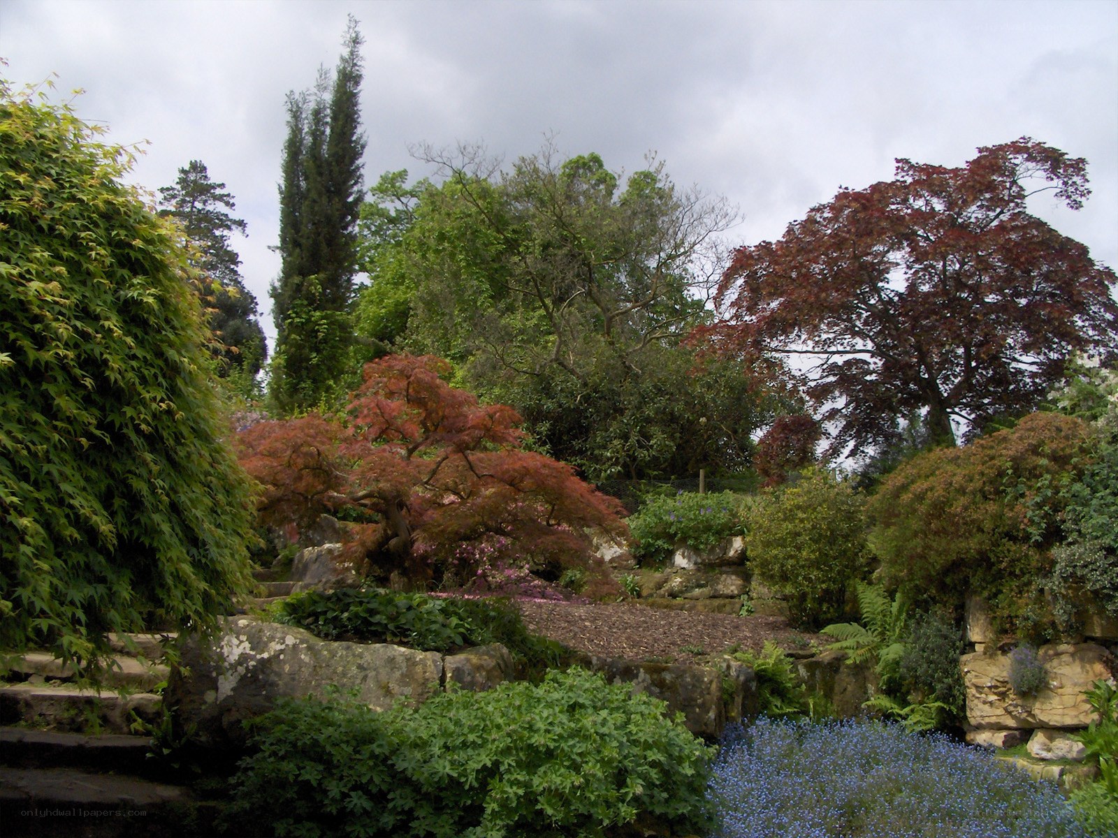 garden with colorful trees
