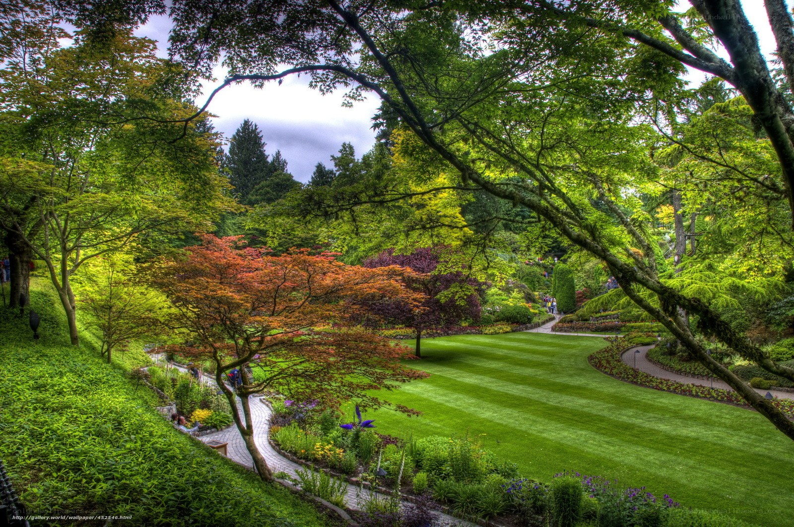 Garden with colorful trees