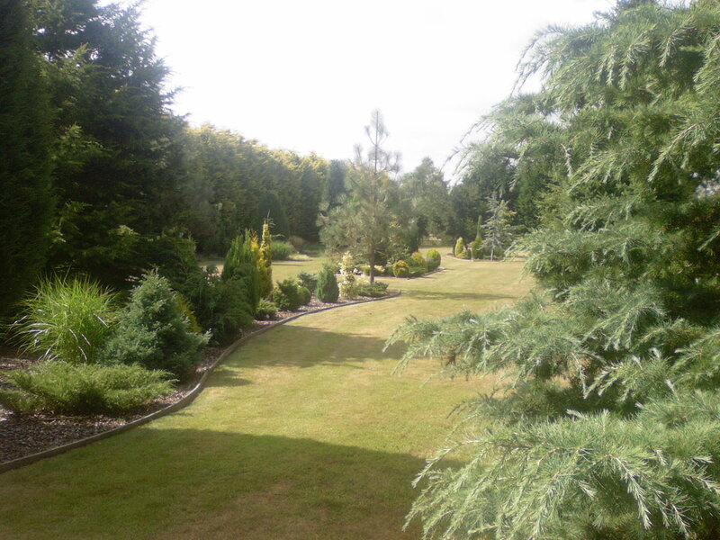 Garden with Evergreen Trees