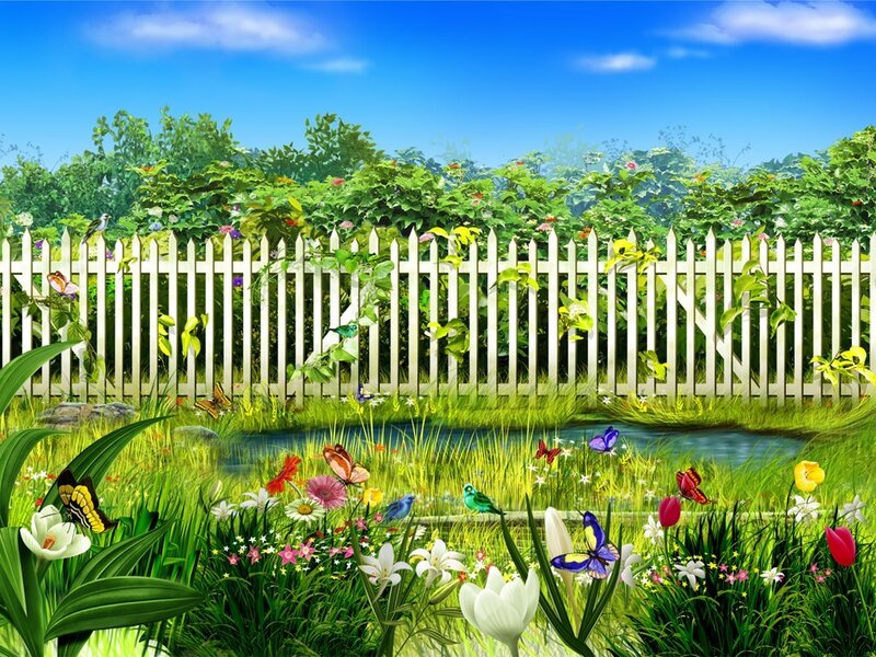 Garden with fence and pond