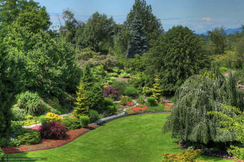 Garden with Flower Beds — Green, Serene, Afternoon, Photograph, Trees