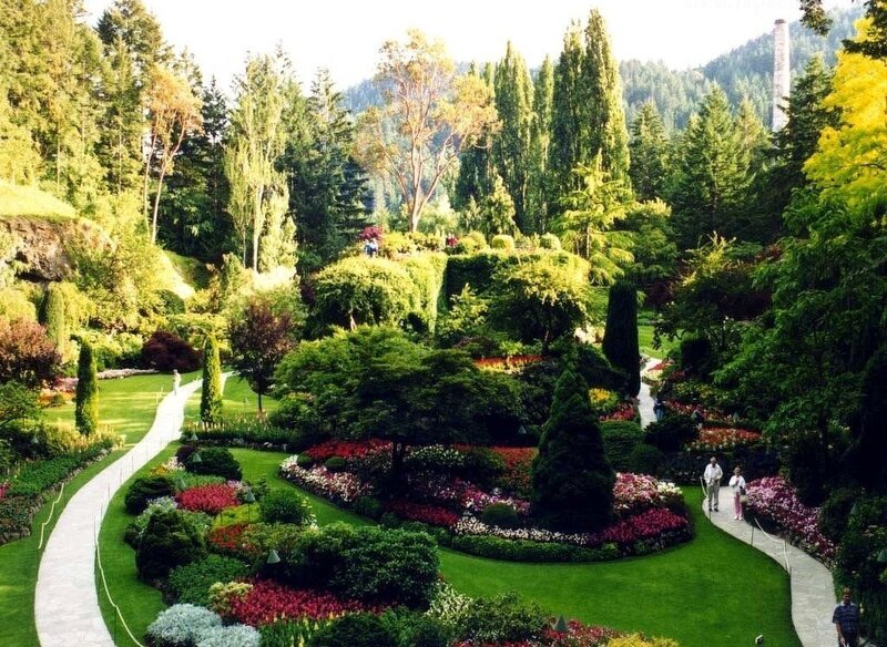 Garden with Flower Beds — Green, Serene