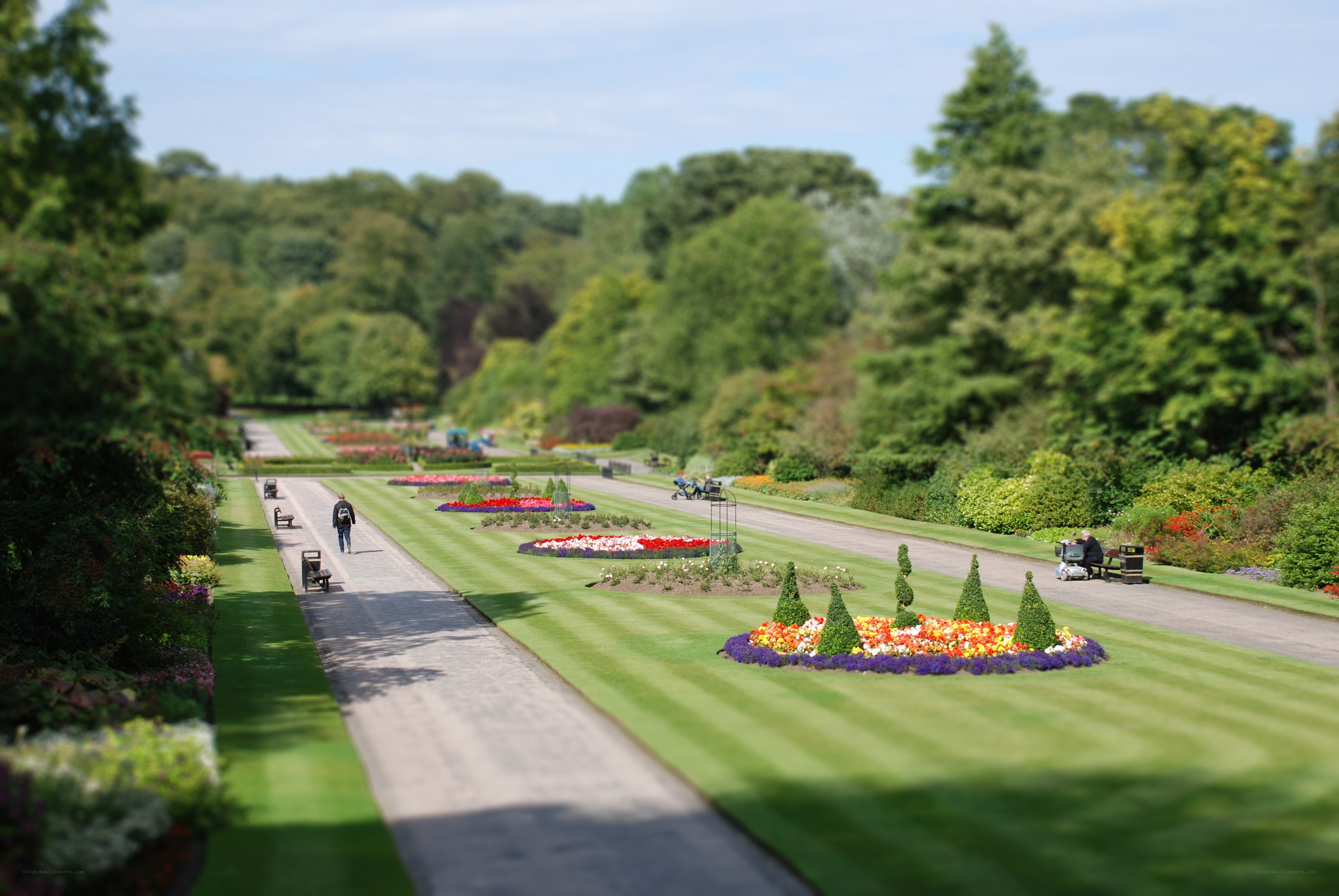 Garden with flower beds