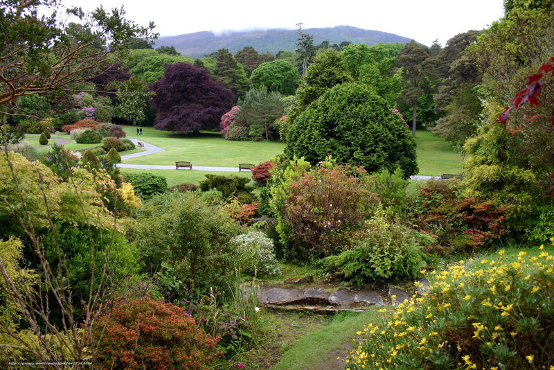 Garden with Flowering Plants — Green, Serene