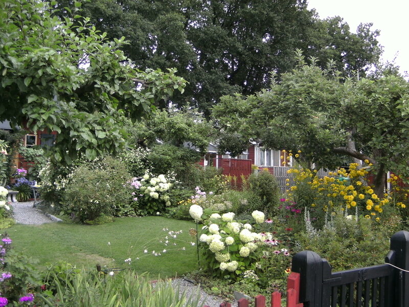 Garden with Flowering Plants — Green