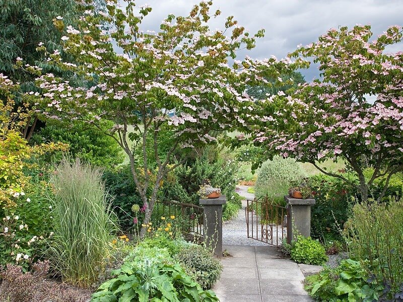 Garden with Flowering Trees — Green