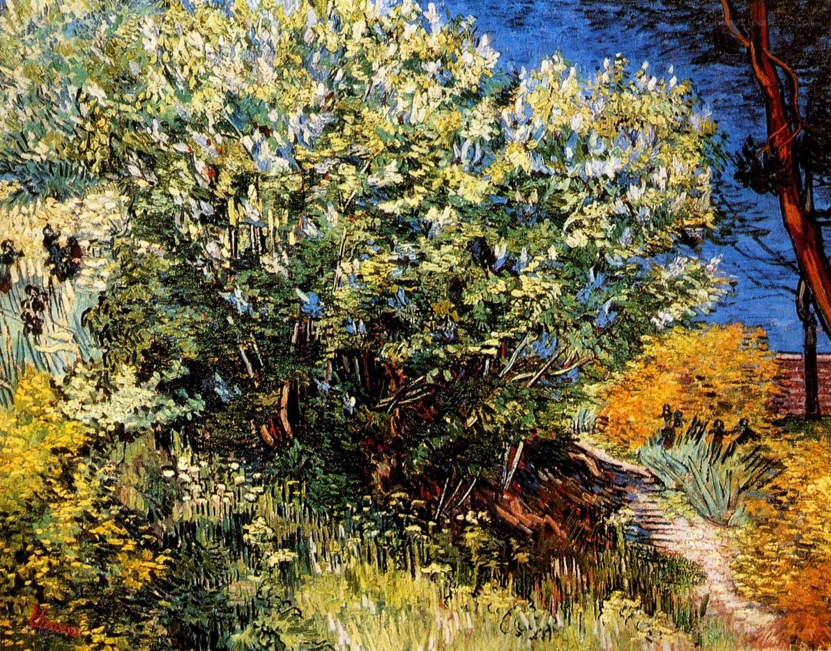 Garden with flowering trees