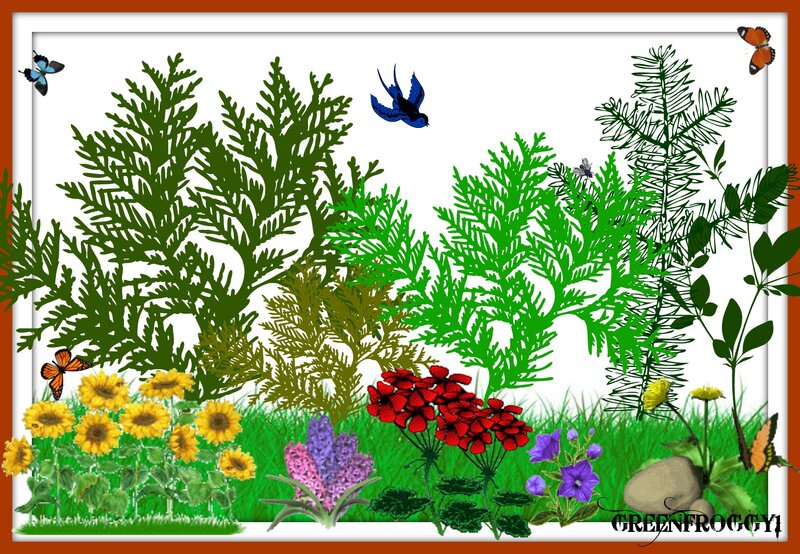 Garden with Flowers and Birds