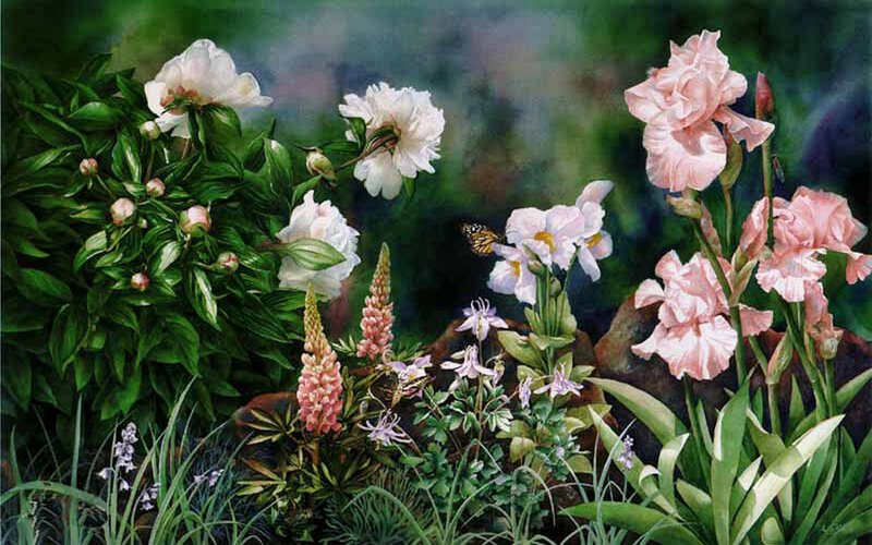 Garden with Flowers and Butterfly