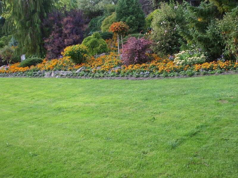Garden with flowers and lawn