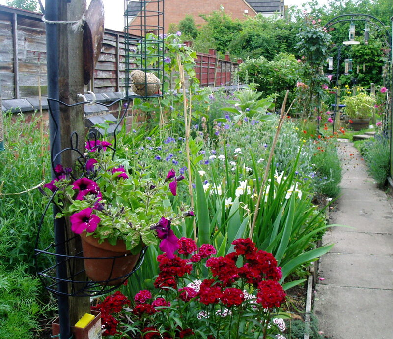 Garden with Flowers and Path — Green