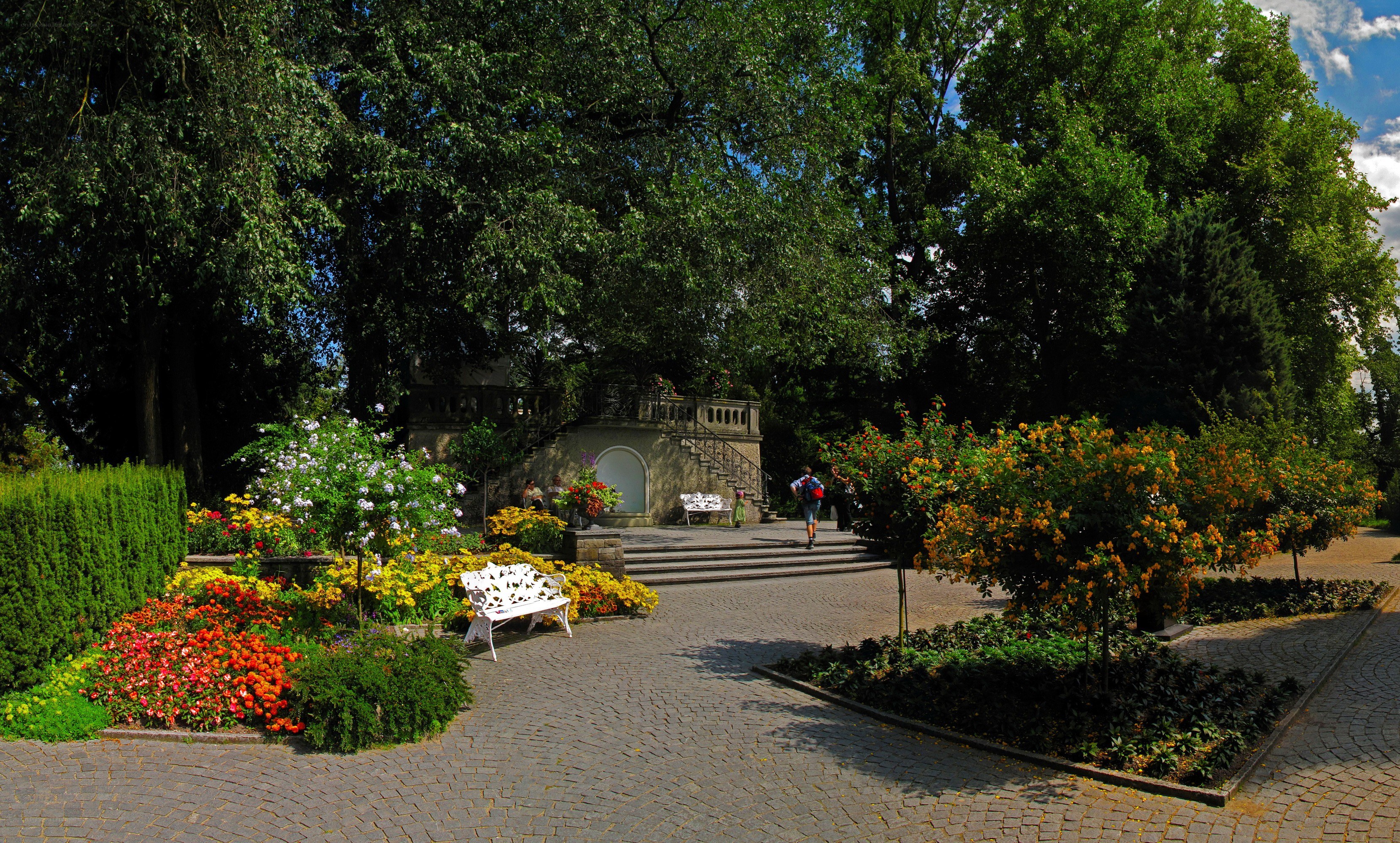 Garden with flowers and stone steps
