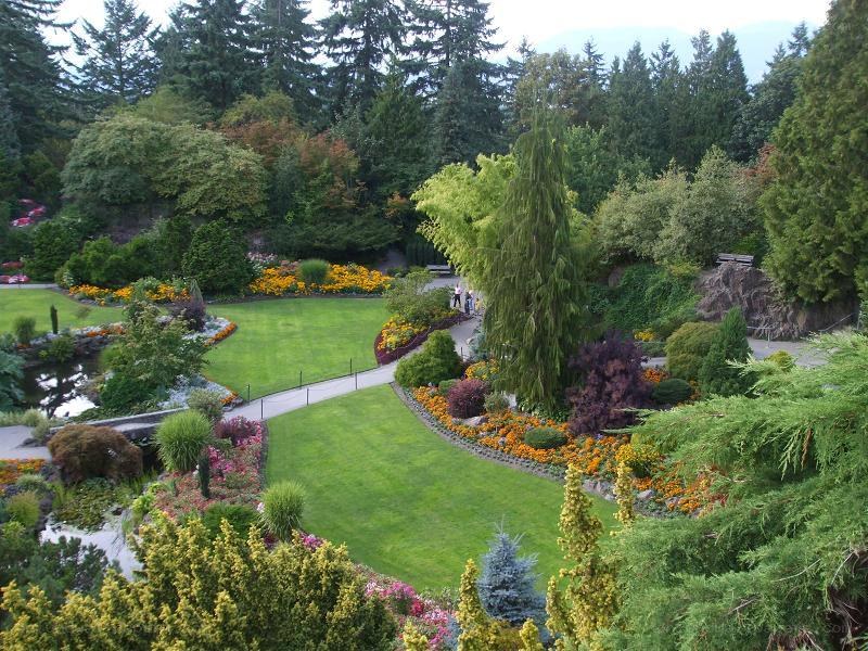 Garden with flowers and trees