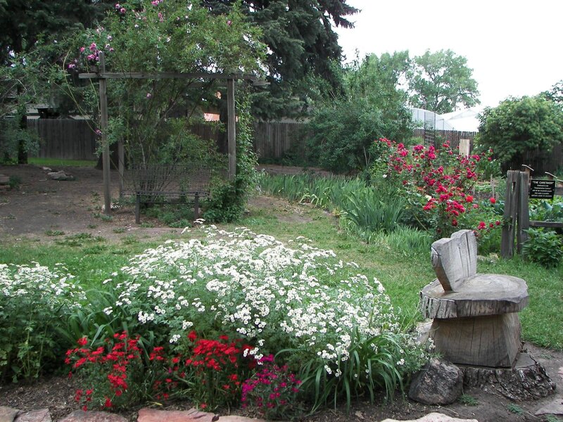 Garden with flowers and wooden bench